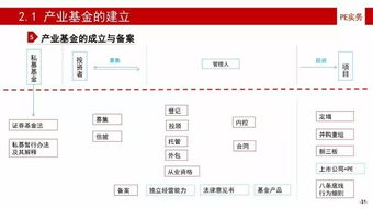 產業(yè)基金的建立、投資、投后管理與風險控制及投資管理與咨詢