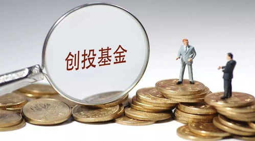 資本新布局 達晨創投入股河南文投旗下懷樸投資，加速文化產業投資版圖擴張